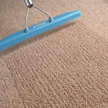Groom Carpet